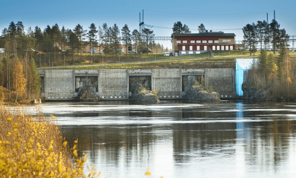 069d6d92f1c895e32725d205c4bca041